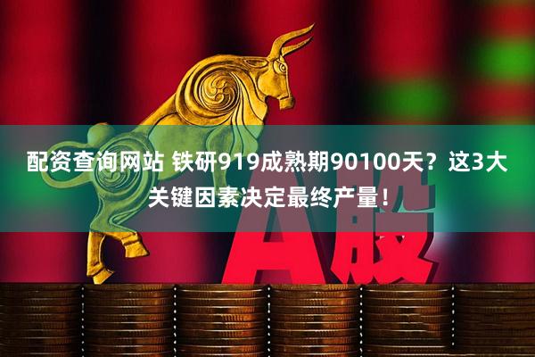 配资查询网站 铁研919成熟期90100天？这3大关键因素决定最终产量！